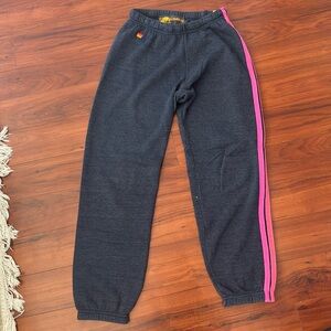 Aviator Nation navy stripe sweatpants